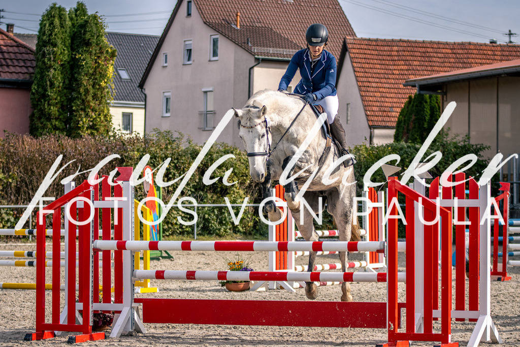 IMG_5765 | Erleben Sie dynamische Sport- und emotionale Tierfotografie in Süddeutschland mit Fotos von Paula. Spezialisiert auf Pferde- und Hundefotografie sowie Sportevents. Kontaktieren Sie mich für einzigartige und ausdrucksstarke Bilder Ihrer besonderen Momente. - Realisiert mit Pictrs.com