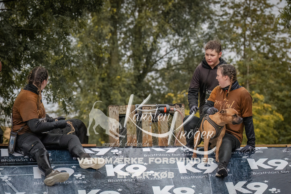 1005_ZZ90858 | kk-dogfotos