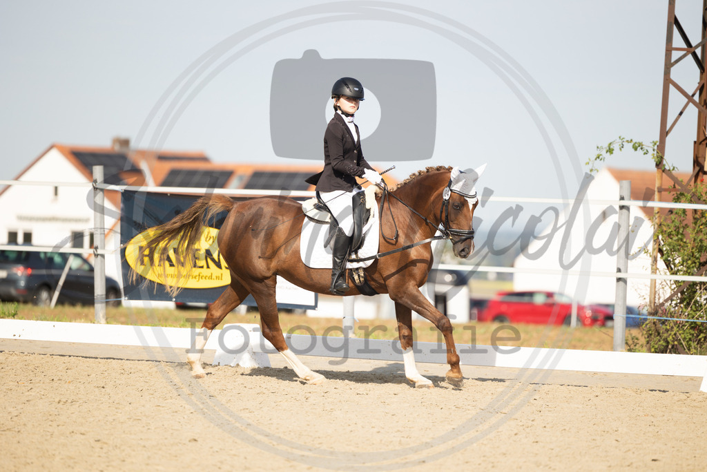 994A1608 | sabrinanicolaifotografie - Realisiert mit Pictrs.com