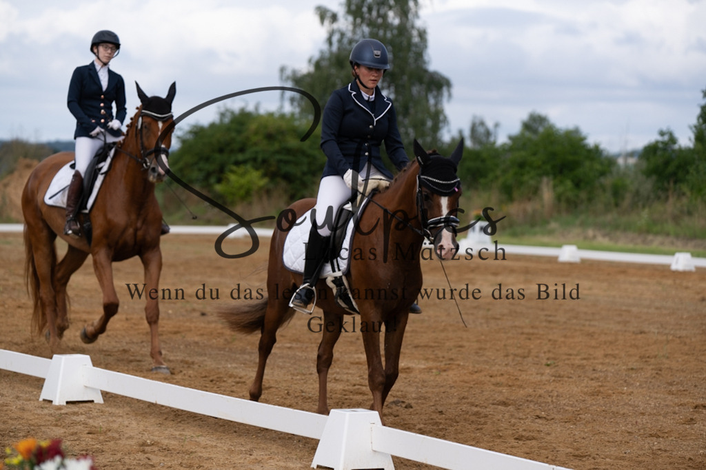 A7V03812 | Pferdefotograf