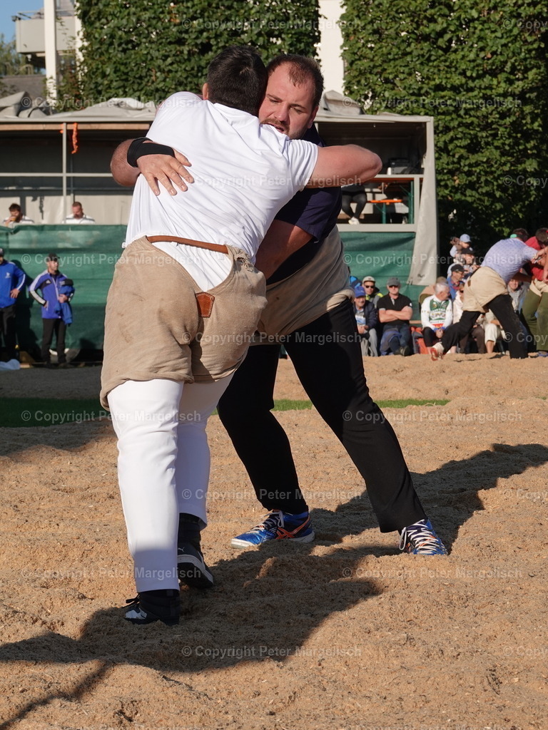 DSC05529 | Schwingen - Realisiert mit Pictrs.com