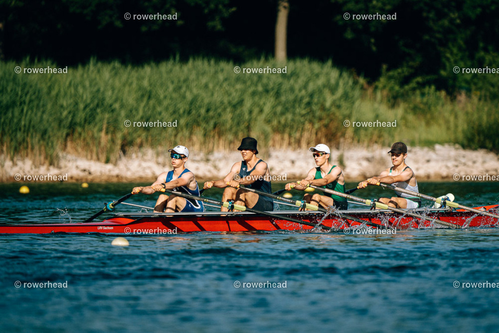 20250619_rowerhead_R216_S1398_DSC01038 | rowerhead - Realisiert mit Pictrs.com