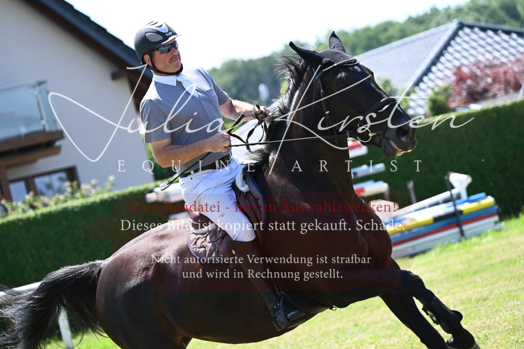 DSC_0757 | Pferde- und Turnierfotografie in Westsachsen. Pferdeportraits, Auftragszeichnungen und intuitive Kunst.