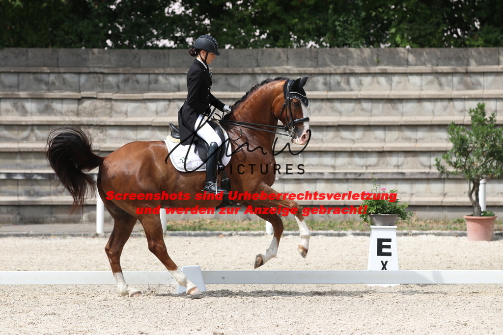 IMG_7122 | lmwpictures - Realisiert mit Pictrs.com