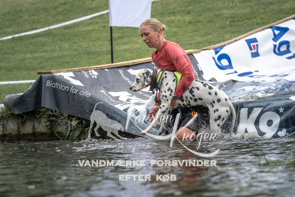1506_ZZ93545 | kk-dogfotos