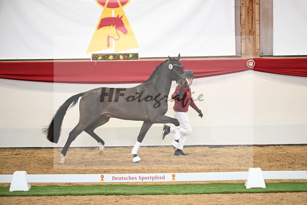Kat.-Nr. 51 v. Donkey Boy_Lenzen_2250211 | hf-fotografie - Realisiert mit Pictrs.com