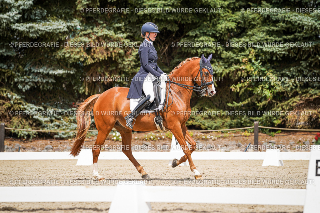 DSC06148 | Pferdegrafie