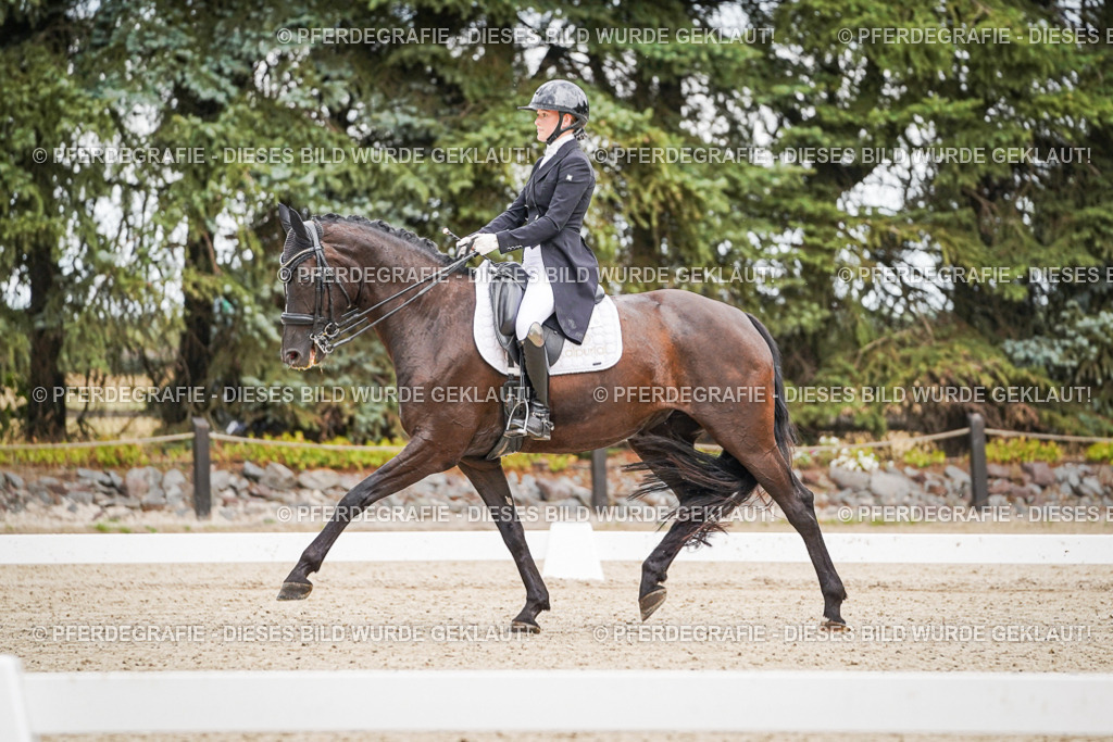 DSC07022 | Pferdegrafie