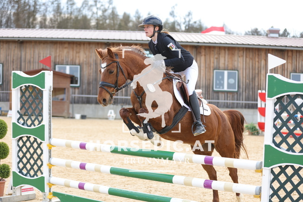 0P6A8100 | Willkommen bei Brunnmayr - Design & Fotografie – Ihrem Spezialisten für Reitturniere und Pferdeveranstaltungen in Oberösterreich, Salzburg und Bayern! Seit über 17 Jahren sind wir leidenschaftlich dabei.