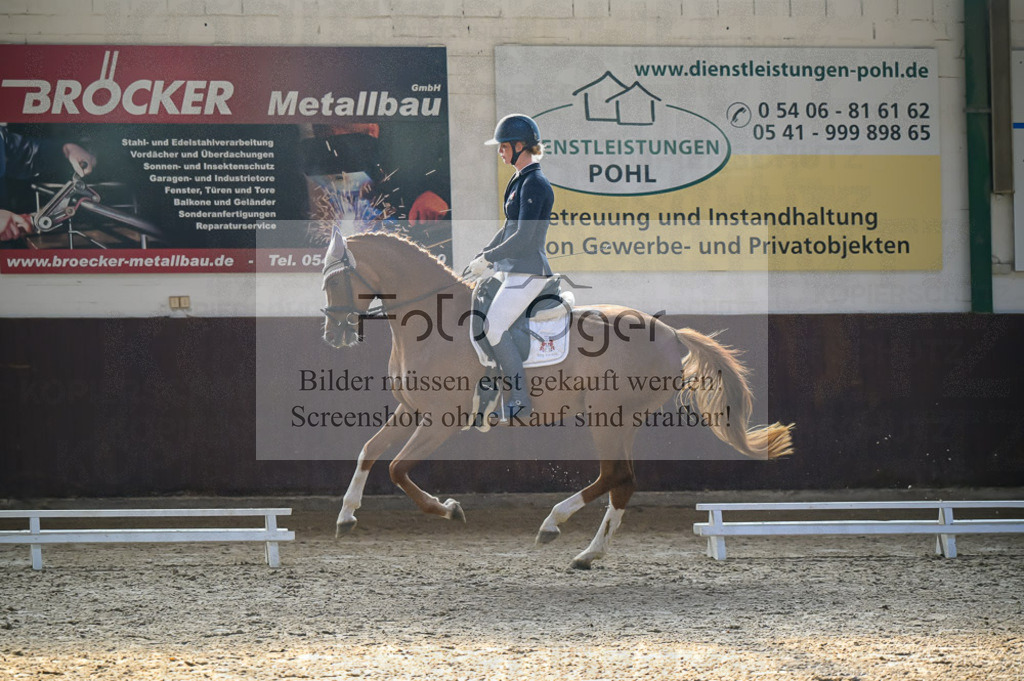 Reitturnier Voxtrup | Entdecke hochwertige Reitturnierfotos von Foto Oger. Professionell, emotional und authentisch – jetzt Lieblingsmomente im Shop bestellen.Deutschlandweite Turnierfotografie. - Realisiert mit Pictrs.com