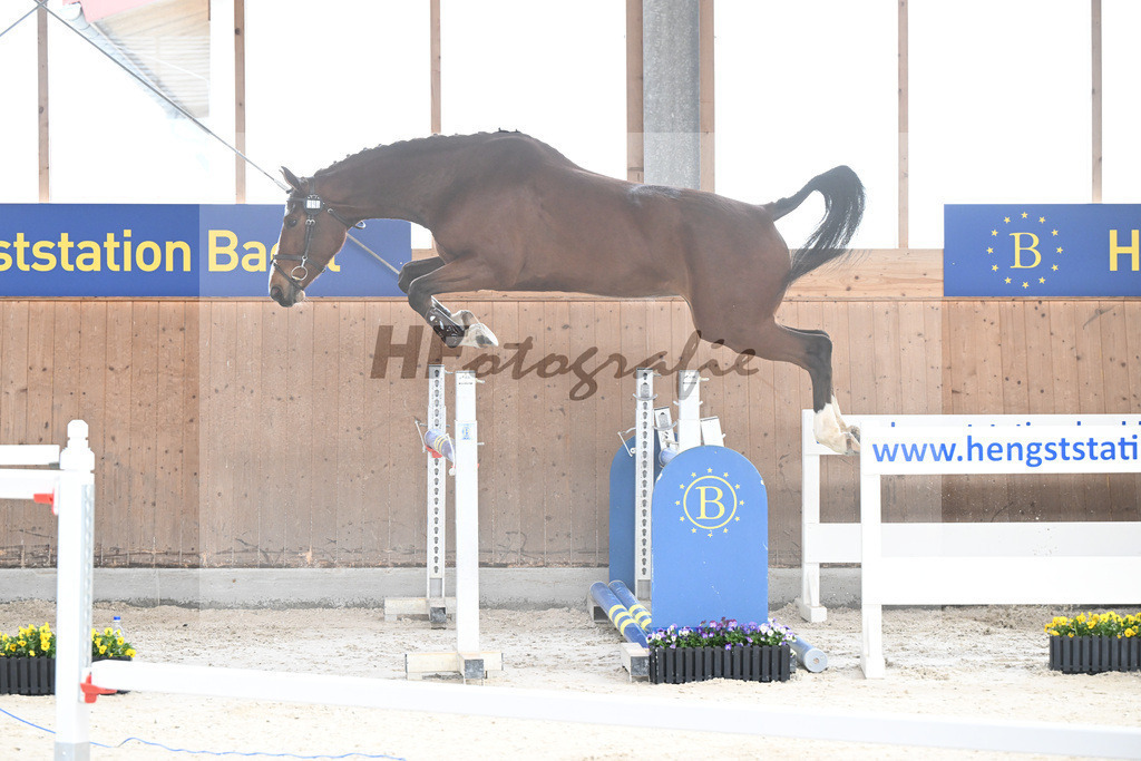 Kat-Nr. 50 Grace Argentina M v. Vingino_Meindl_5250505 | hf-fotografie - Realisiert mit Pictrs.com
