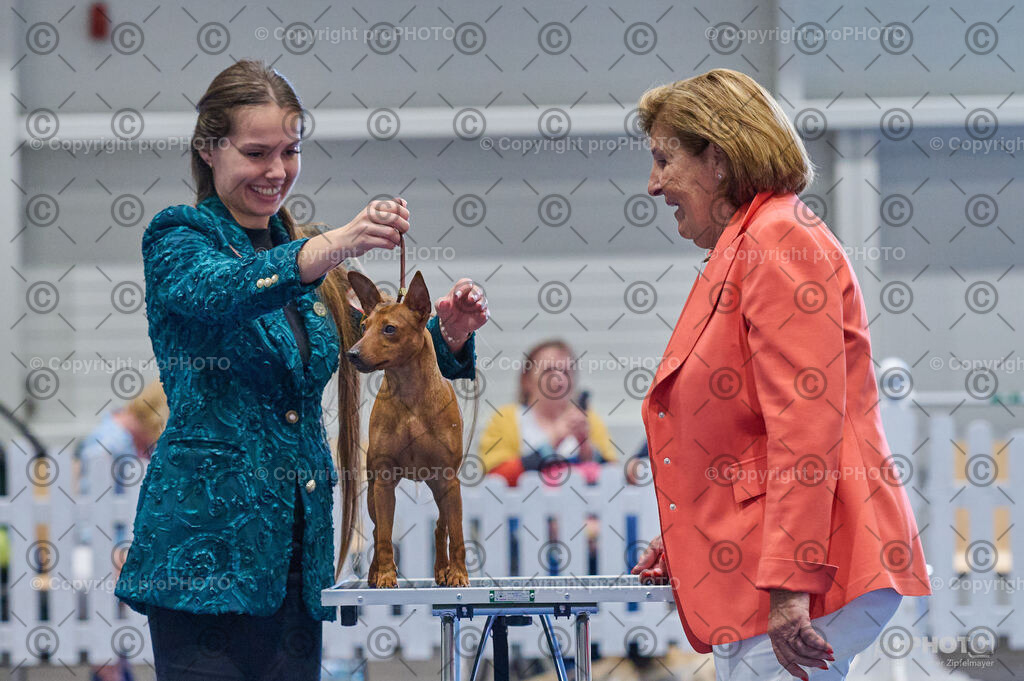 202406_ÖKV-IHA-Tulln24_DSC_5323 | proPHOTO - Realisiert mit Pictrs.com