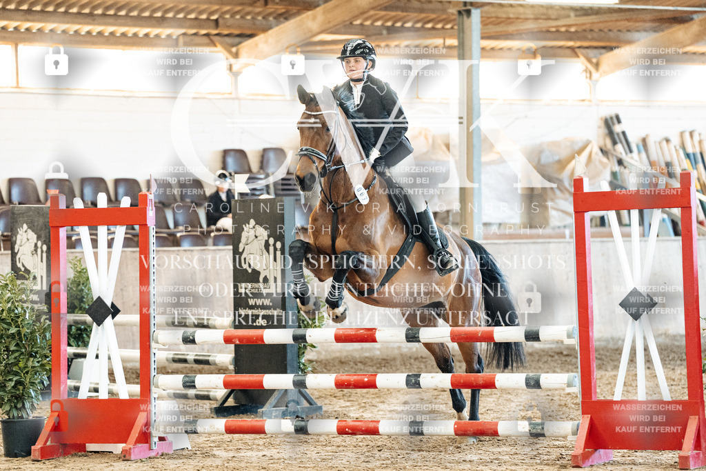 CK904782 | Turnierfotografie Pferdefotografie Trier Rheinland-Pfalz Pferdesport Reitsport Tierfotografie Sportfotografie Pferdevideo Pferdevideografie Equestrianvideography equestrianphotography  - Realisiert mit Pictrs.com
