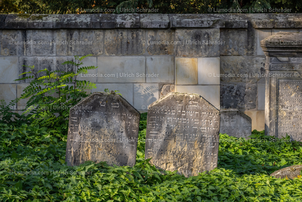 10049-12655 - Jüdische Friedhöfe Halberstadt | Stockfoto und Bilderpool mit Bildmaterial aus Deutschland, dem Harz, Halberstadt, Quedlinburg, Wernigerode und weltweit. Qualitativ hochwertige und professionelle Fotos anschauen und kaufen. - Realisiert mit Pictrs.com