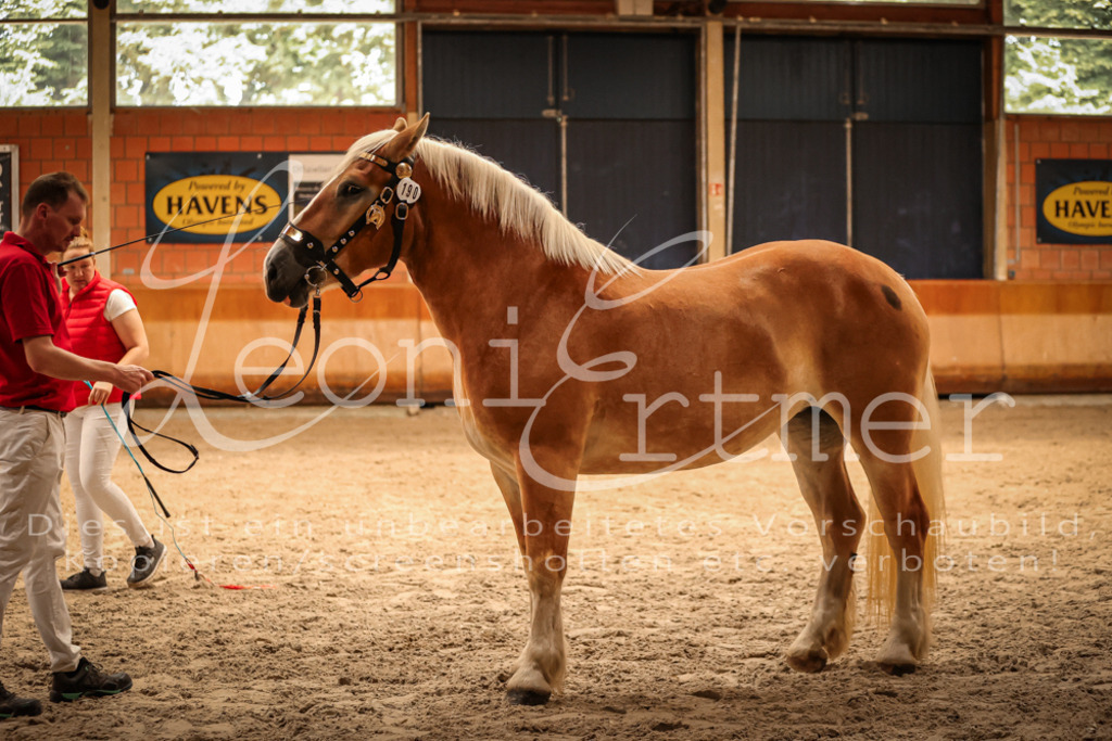 SaFL00219 | Leoni Ertmer Photography - Realisiert mit Pictrs.com