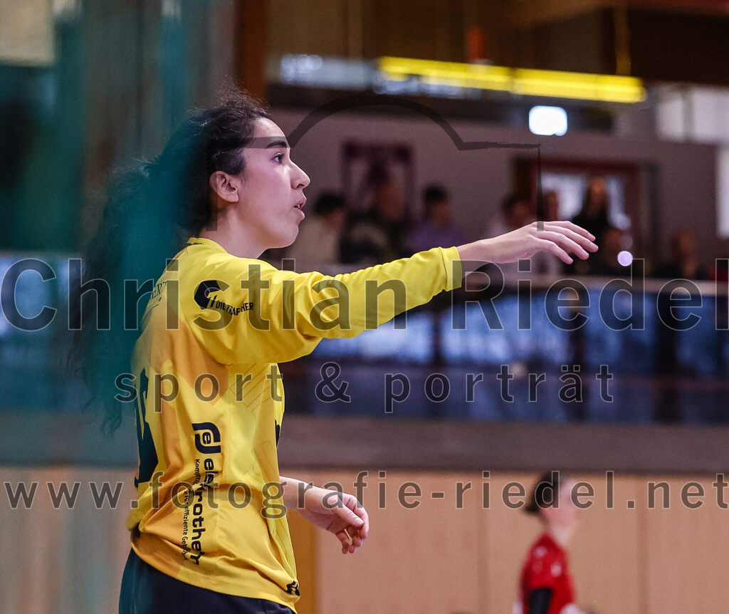 2025-02-22_092_SpVgg_Altenerding_gegen_TG_Landshut | Erding, Deutschland, 22.02.2025:Handball, Bezirksoberliga Frauen Altbayern 2024 / 2024, 15. Spieltag, SpVgg Altenerding gegen TG Landshut, Endergebnis: 25:22Torfrau Rebecca Tragl (TG Landshut, #16)Foto: Christian Riedel / fotografie-riedel.net