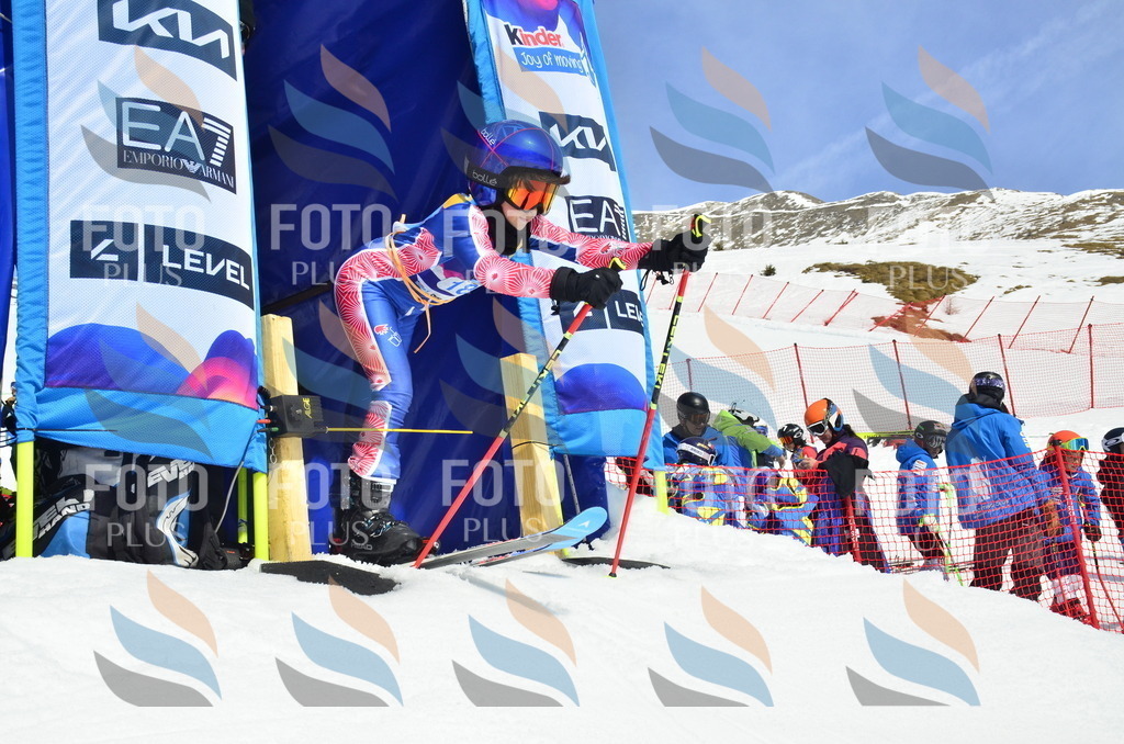 _ELE1274 | holidayphoto