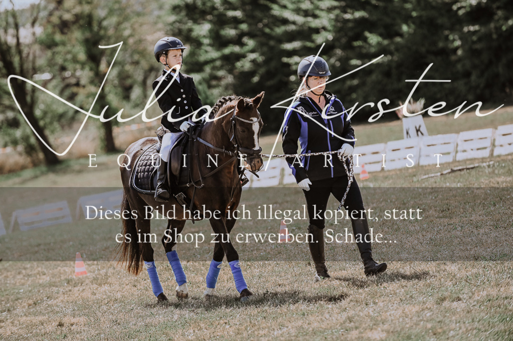 DSC_7950 | Pferde- und Turnierfotografie in Westsachsen. Pferdeportraits, Auftragszeichnungen und intuitive Kunst.