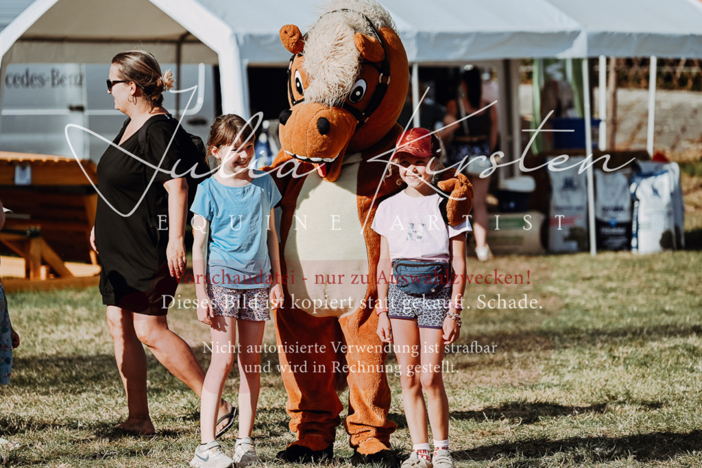 DSC_8917 | Pferde- und Turnierfotografie in Westsachsen. Pferdeportraits, Auftragszeichnungen und intuitive Kunst.