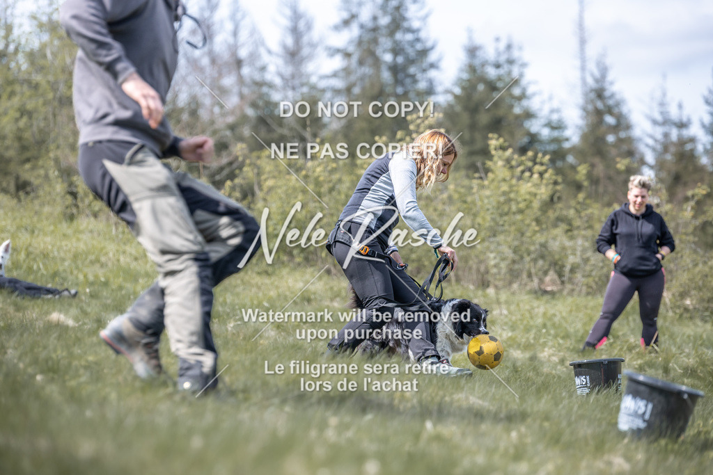 6Z1A0945 | nelerasche