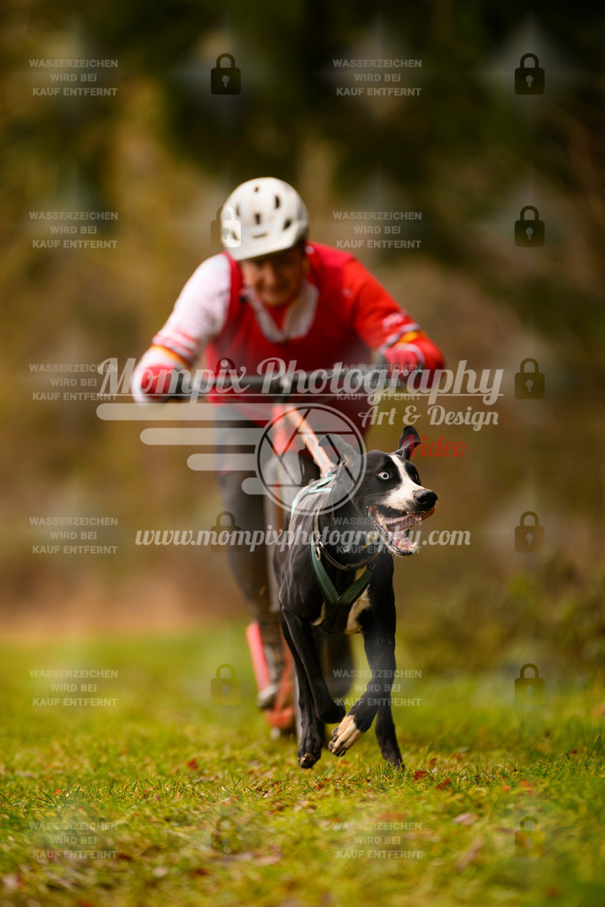MompixPhotography_2SSTSSBW_2025_SO_Scooter-19 | PayLife