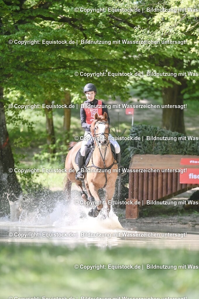 20250517_CCI2_Gelände_0856 | Foto: Thomas Hartig