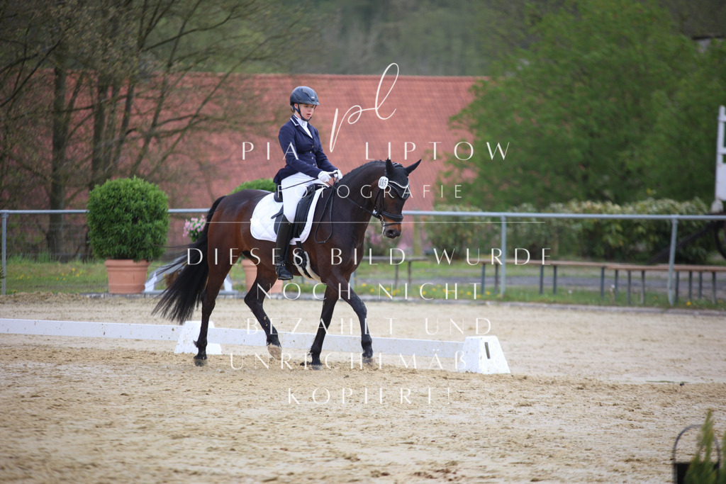 IMGT6056 | pl-fotografie