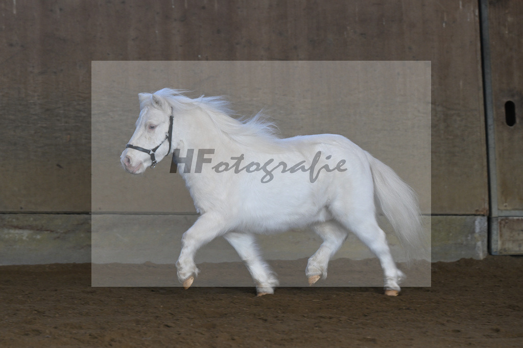 Kat-Nr. 14 Elmhorst Irish Cream v. Elmhorst Irish Coffee_Elmer_49250624 | hf-fotografie - Realisiert mit Pictrs.com