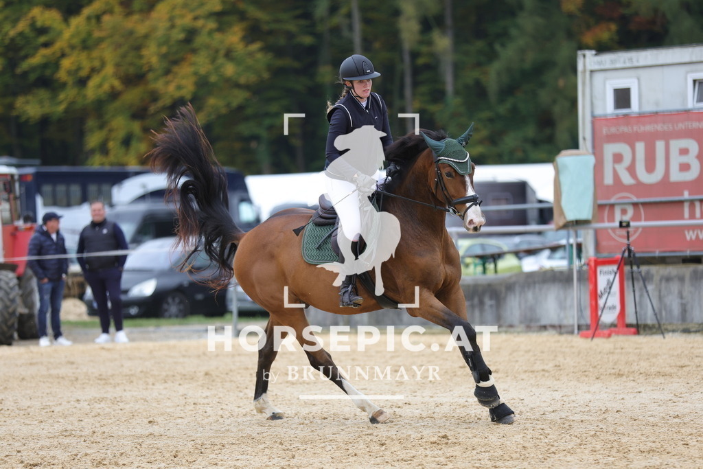 0P6A1666 | Willkommen bei Brunnmayr - Design & Fotografie – Ihrem Spezialisten für Reitturniere und Pferdeveranstaltungen in Oberösterreich, Salzburg und Bayern! Seit über 17 Jahren sind wir leidenschaftlich dabei.
