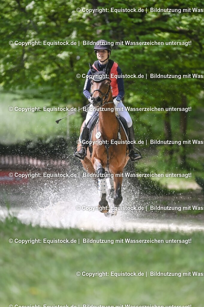 20250517_CCI2_Gelände_1086 | Foto: Thomas Hartig