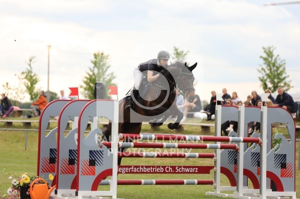 IMG_8050 | Pauline Ullmann Photography - Realisiert mit Pictrs.com