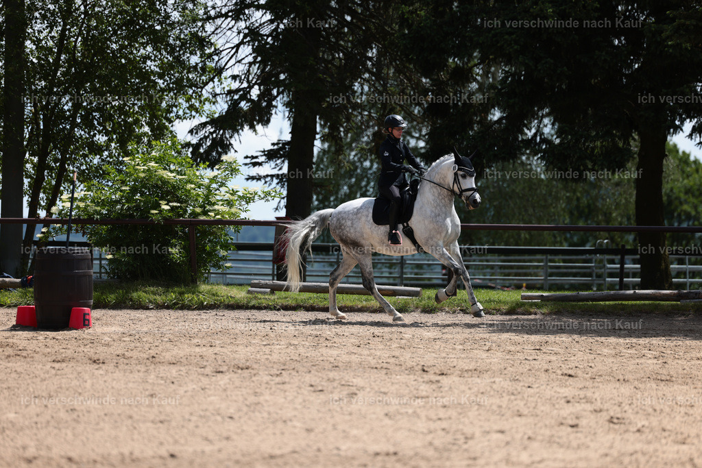 KlasseA_Stoibphotography_C2_L5531.JPG | working equitationturnier fotograf videograf stoibphotography marixx film working equitation deutschland reitsport turnierfotografie eventfotografie equestrian events