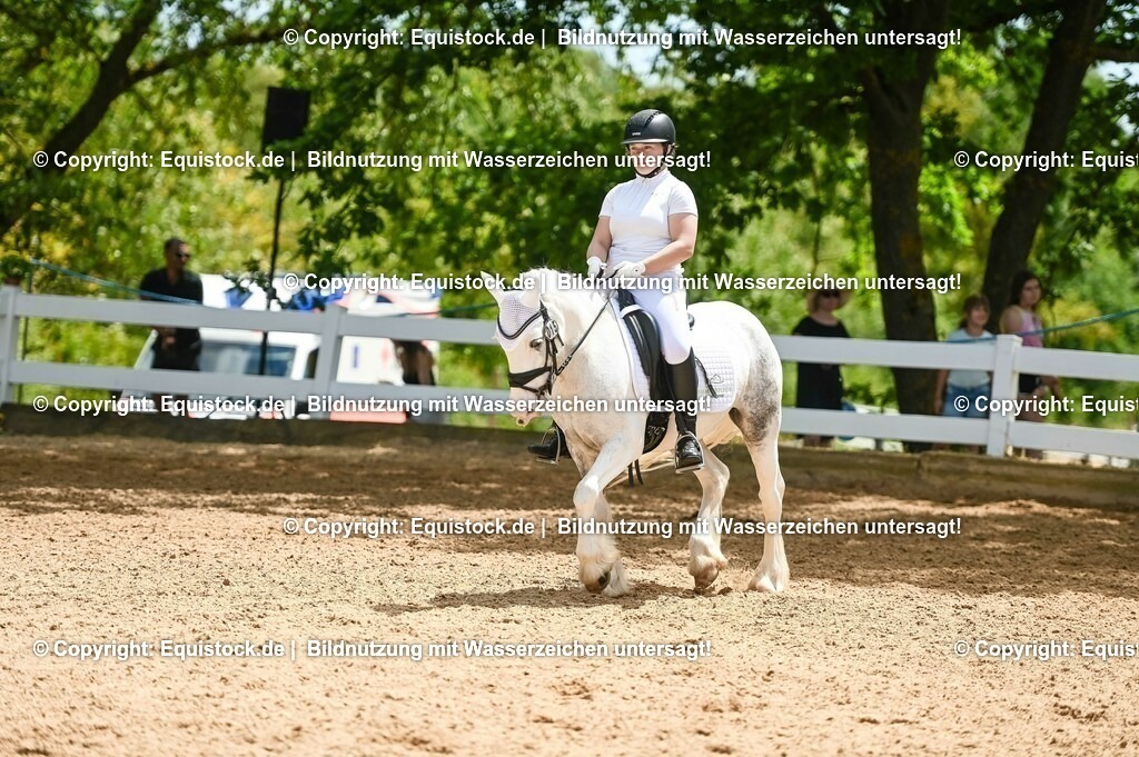 20230715_05_Dressurprüfung Kl.A++_0241 | equistock