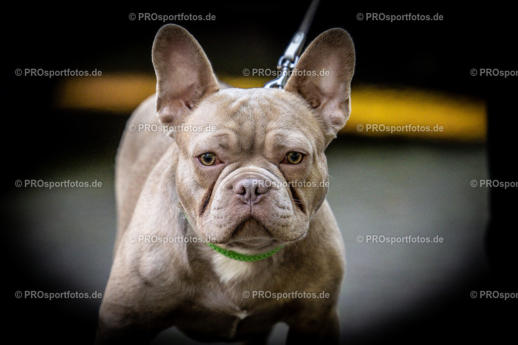 13. Koelner Leselauf in Koeln, 25.05.2023 | Impressionen vom 13. Koelner Leselauf am 25.05.2023 im Sportpark Muengersdorf in Koeln. Foto: BEAUTIFUL SPORTS/Axel Kohring