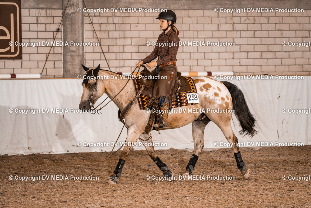 ZH200480 | dv-media-shop - Realisiert mit Pictrs.com