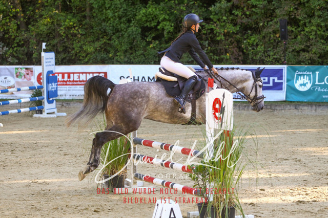 DKP42839 | Turniersportfotografie; Pferdefotografie; Dressurfotografie