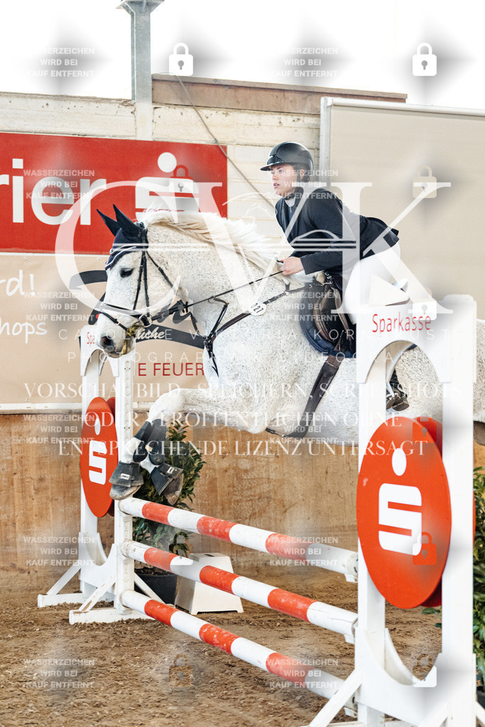 CK904460 | Turnierfotografie Pferdefotografie Trier Rheinland-Pfalz Pferdesport Reitsport Tierfotografie Sportfotografie Pferdevideo Pferdevideografie Equestrianvideography equestrianphotography  - Realized with Pictrs.com