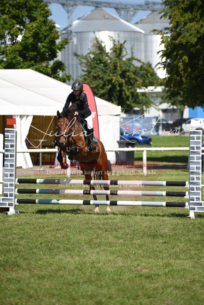 DSC_9332 | Pferde- und Turnierfotografie in Westsachsen. Pferdeportraits, Auftragszeichnungen und intuitive Kunst.