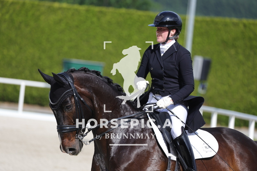 0P6A6734 | Willkommen bei Brunnmayr - Design & Fotografie – Ihrem Spezialisten für Reitturniere und Pferdeveranstaltungen in Oberösterreich, Salzburg und Bayern! Seit über 17 Jahren sind wir leidenschaftlich dabei.