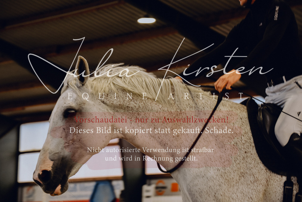 DSC_6963 | Pferde- und Turnierfotografie in Westsachsen. Pferdeportraits, Auftragszeichnungen und intuitive Kunst.