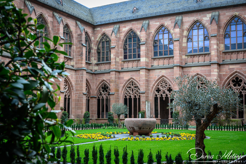 Der Hohe Dom St. Martin zu Mainz | Der Hohe Dom St. Martin zu Mainz