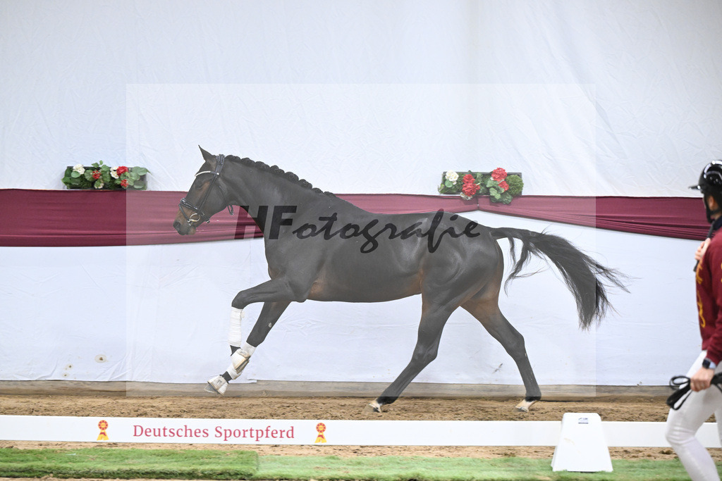 Kat-Nr. 46 Zenetti x Ritz Carlton_Udo Kast_47251645 | hf-fotografie - Realisiert mit Pictrs.com