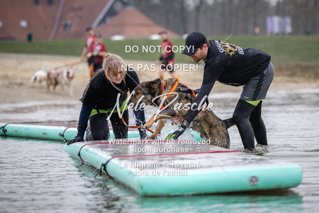 nelerasche_Hulsbeek_Sa1130-1230_455 | nelerasche