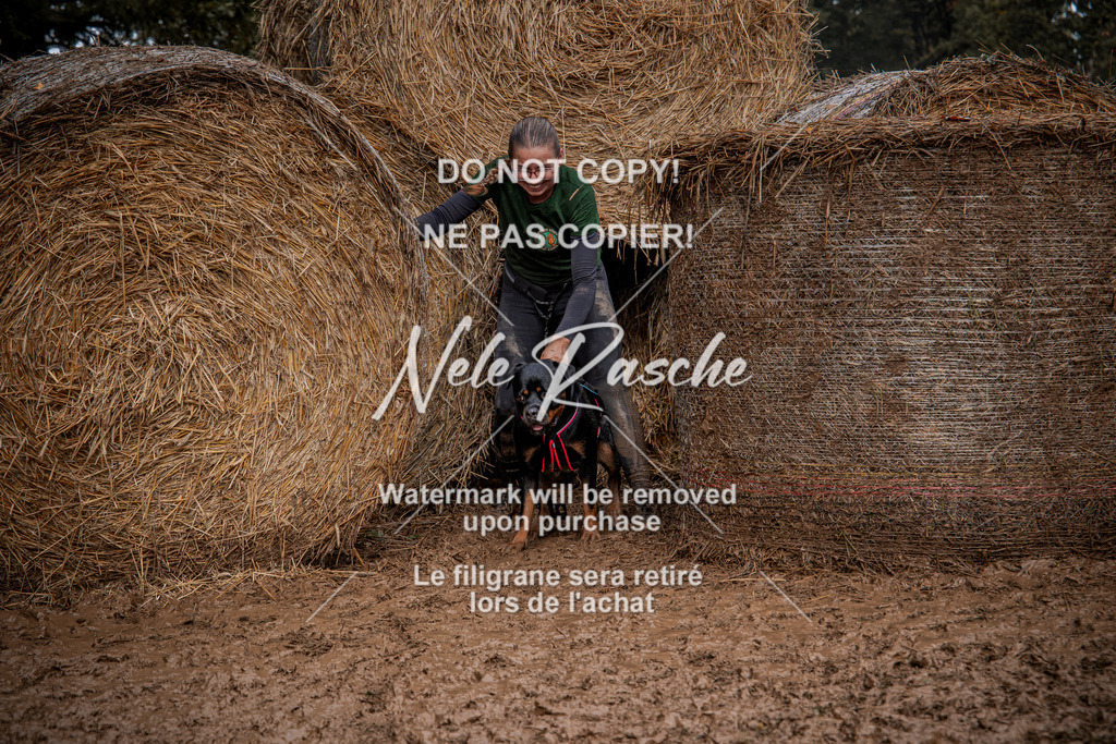 nelerasche_Hunsrück_So12-13_444 | nelerasche