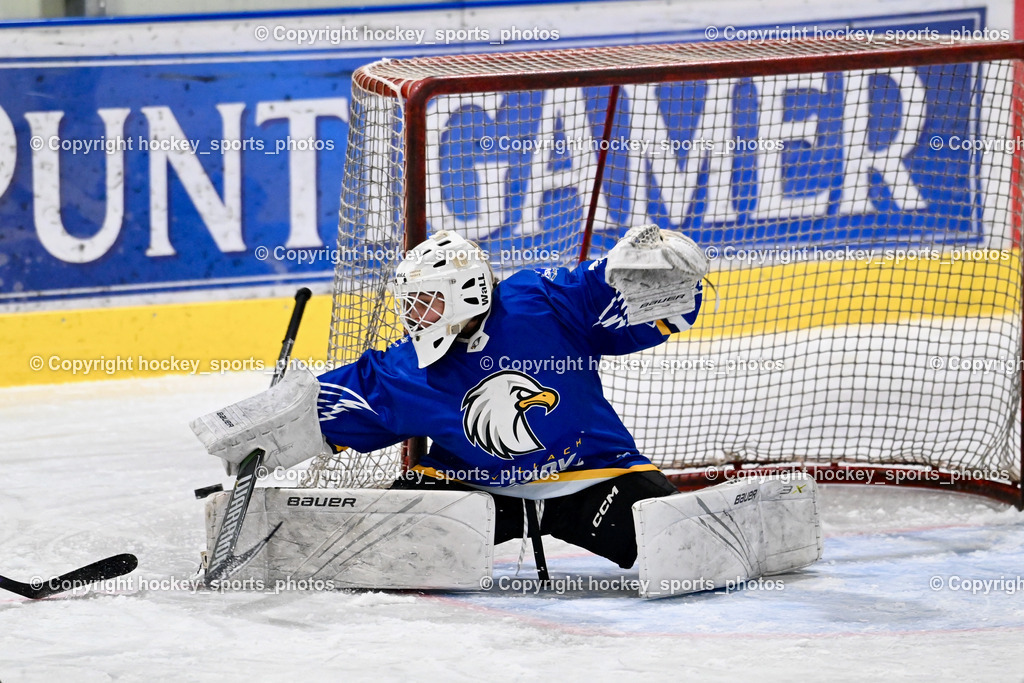 LADY HAWKS vs. WILDCATS PATERNION | #32 Prasser Hannah Sophie LADY HAWKS, LADY HAWKS vs. WILDCATS PATERNION, LADY HAWKS vs. WILDCATS PATERNION am 12.03.2025 in Steindorf (Ossiachersee Halle), Austria, (Photo by Bernd Stefan)
