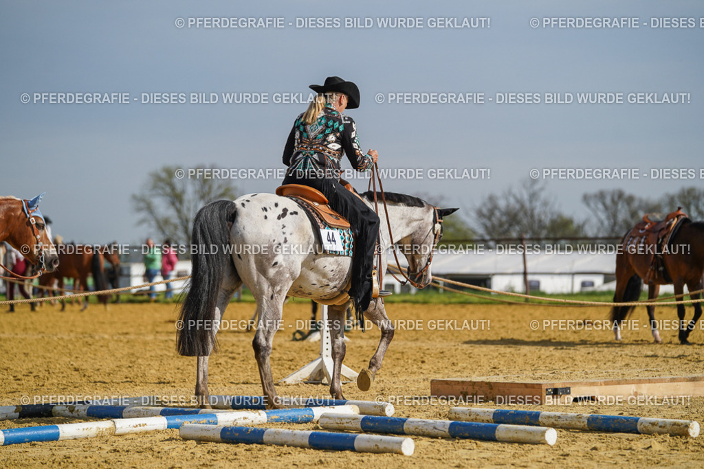 DSC01413 | Pferdegrafie