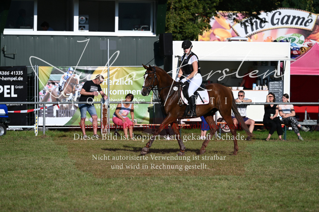 DSC_4690 | Pferde- und Turnierfotografie in Westsachsen. Pferdeportraits, Auftragszeichnungen und intuitive Kunst.