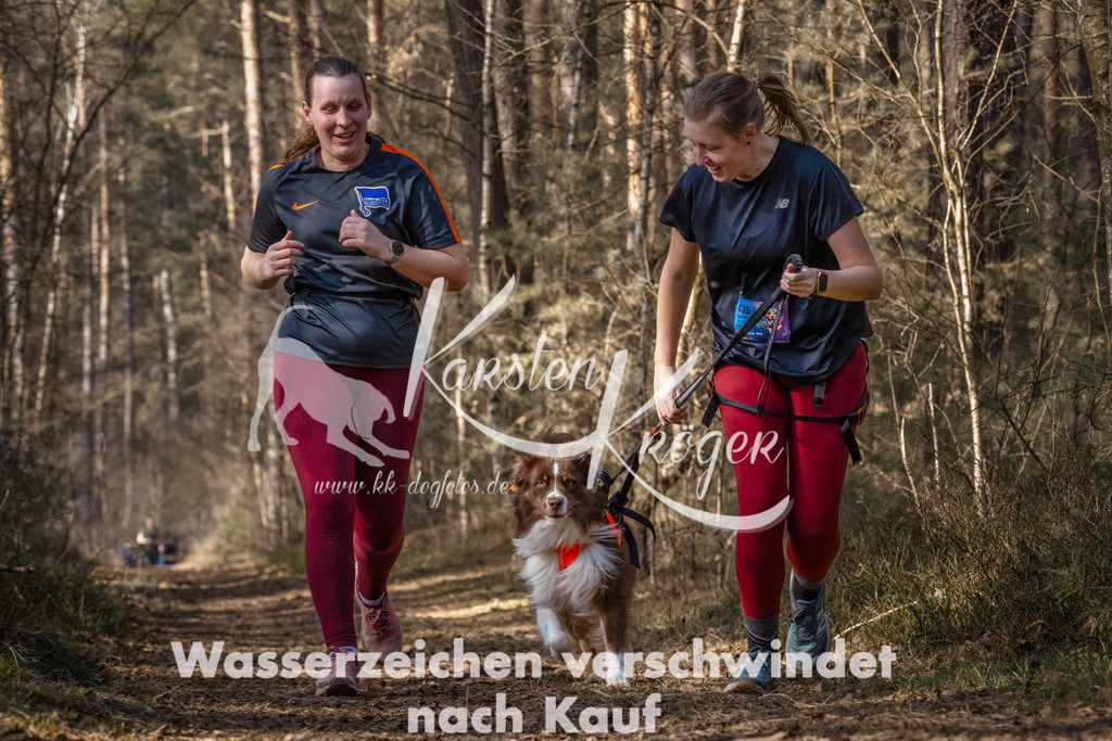 1224_ZZ93361-Bearbeitet | kk-dogfotos