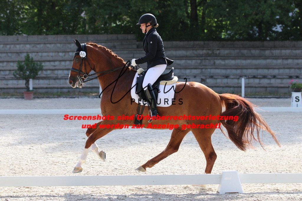 IMG_5647 | lmwpictures - Realisiert mit Pictrs.com