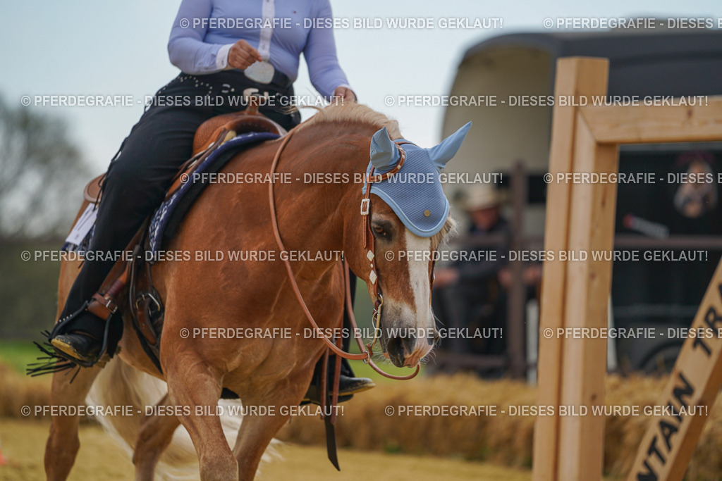 DSC02443 | Pferdegrafie